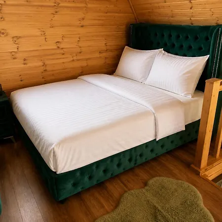 Nesthouse * Hosszupalyi